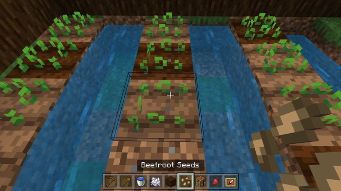 How to plant seeds on minecraft