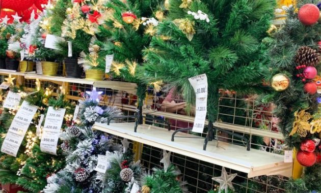 Where to buy christmas trees to plant