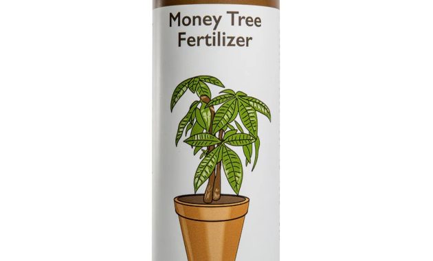 Plant food for money tree