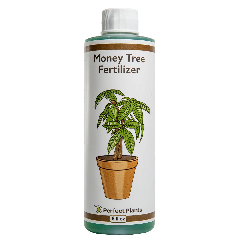 Plant food for money tree