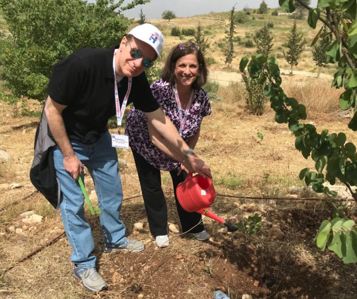 Plant trees in israel hadassah