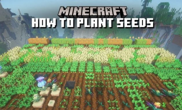 How to plant seeds on minecraft