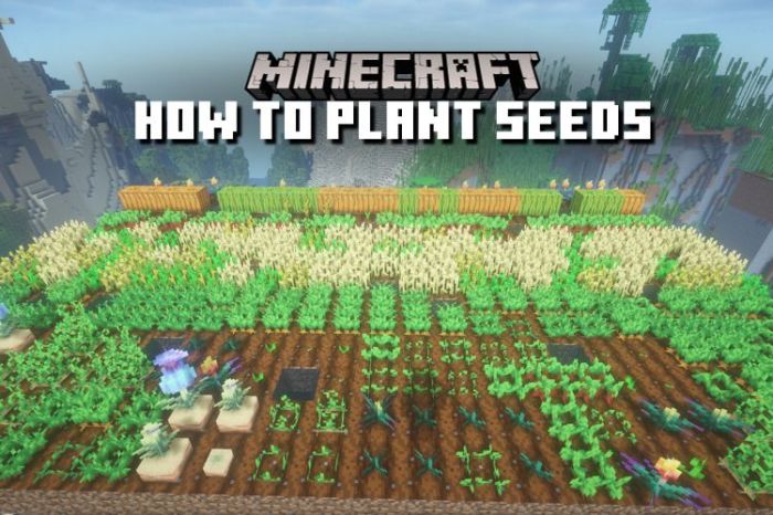 How to plant seeds on minecraft