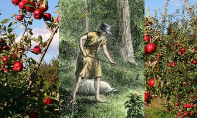 How many trees did johnny appleseed plant