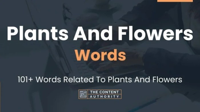 Plant and seed word bank